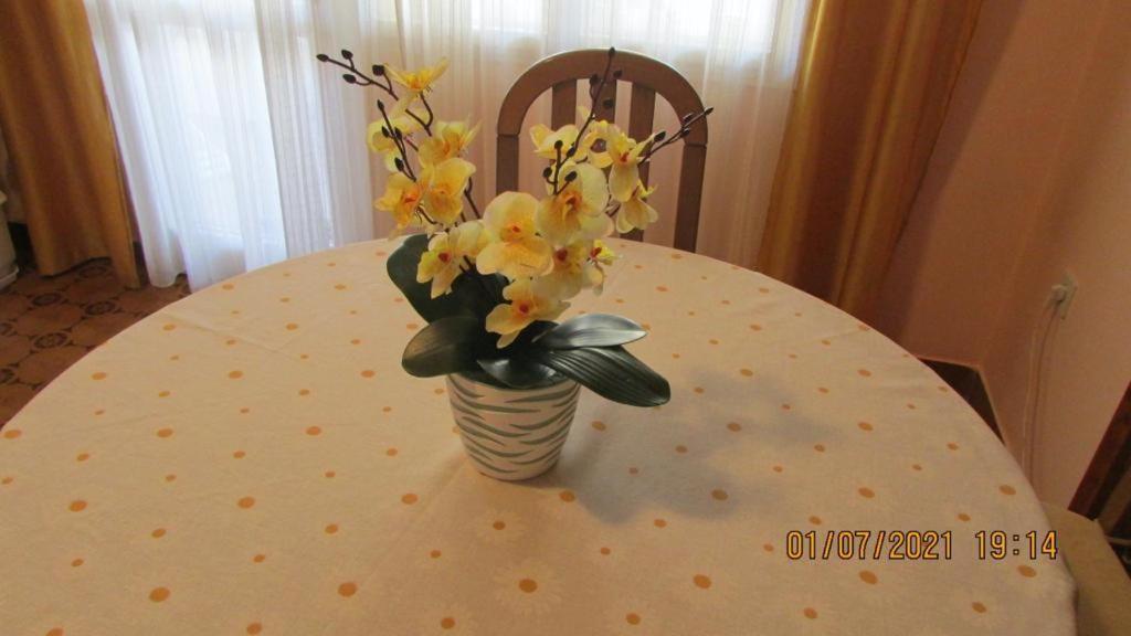Apartment Tomy Trogir Buitenkant foto
